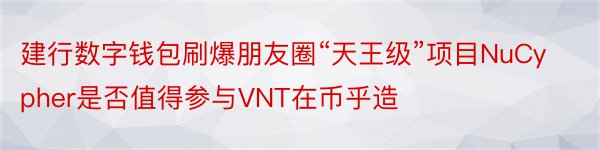 建行数字钱包刷爆朋友圈“天王级”项目NuCypher是否值得参与VNT在币乎造
