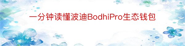 一分钟读懂波迪BodhiPro生态钱包