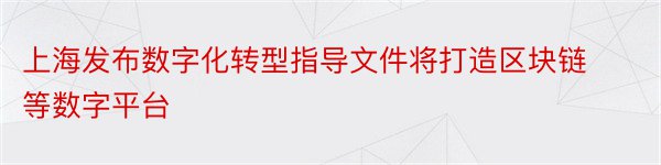 上海发布数字化转型指导文件将打造区块链等数字平台