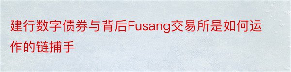 建行数字债券与背后Fusang交易所是如何运作的链捕手